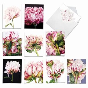 the best card company - 10 boxed note cards with flowers - blank assorted floral notecards bulk (4 x 5.12 inch) - precious peonies am6279ocb-b1x10