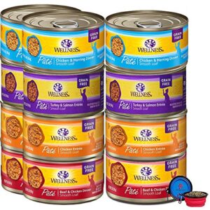 wellness natural premium canned cat wet food pate - 12 pack cans variety bundle pack 4 flavor - (chicken,beef, salmon & turkey) w/ hs pet food bowl - (3 ounce)