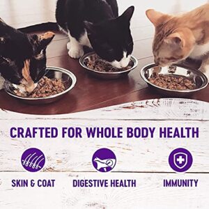 Wellness Natural Premium Canned Cat Wet Food Pate - 12 Pack Cans Variety Bundle Pack 4 Flavor - (Chicken,Beef, Salmon & Turkey) W/ HS Pet Food Bowl - (3 Ounce)