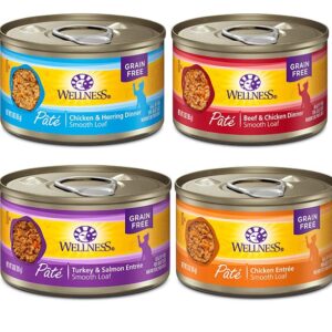 Wellness Natural Premium Canned Cat Wet Food Pate - 12 Pack Cans Variety Bundle Pack 4 Flavor - (Chicken,Beef, Salmon & Turkey) W/ HS Pet Food Bowl - (3 Ounce)