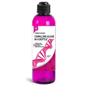 coralline algae in a bottle + nitrifying bacteria for saltwater aquariums, pink fusion strain