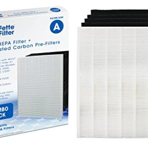 Fette Filter - 115115 Premium True HEPA H13 Filter Compatible with Winix Filter A 115115 Size 21 Plasma Wave Air Purifier AM90 P300 5300 5500 5300-2 6300-2 6300 C909 9800 C535 1 +4 Pack