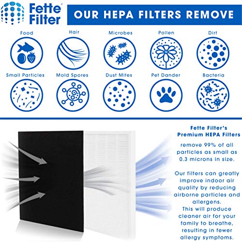 Fette Filter - 115115 Premium True HEPA H13 Filter Compatible with Winix Filter A 115115 Size 21 Plasma Wave Air Purifier AM90 P300 5300 5500 5300-2 6300-2 6300 C909 9800 C535 1 +4 Pack