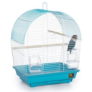 Prevue Pet Products South Beach Dome Top Bird Cage, Teal (SP50071),14 1/8" L x 11 1/4" W x 18 1/8" H