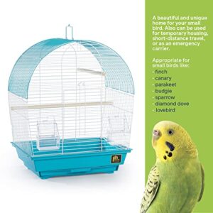 Prevue Pet Products South Beach Dome Top Bird Cage, Teal (SP50071),14 1/8" L x 11 1/4" W x 18 1/8" H