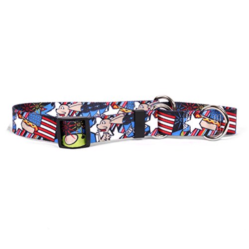 Yellow Dog Design American Dream Martingale Dog Collar 1" Wide and Fits Neck 14 to 20", Medium