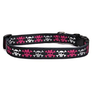 yellow dog design girl skulls dog collar 3/4" wide and fits neck 10 to 14", small, multi-color, (idgs103)