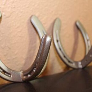 Horseshoe Coat Hook