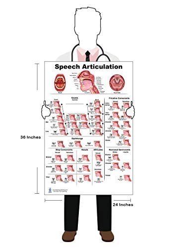 Anatomy Posters for SLP (Larynx, Swallowing, Speech Articulation 24x36)