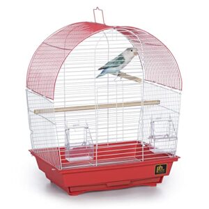 prevue pet products south beach dome top bird cage, coral (sp50100)