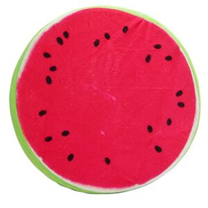 Delight eShop 3D Fruit Cushion, for Chair Seat Sofa Back, Throw Pillow Toy (Full Set, one of Each Fruit)