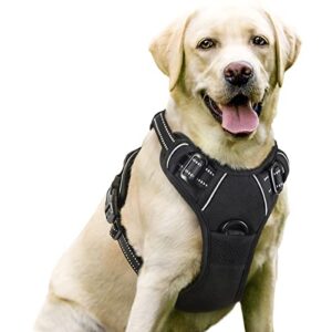 rabbitgoo dog harness, no-pull pet harness with 2 leash clips, adjustable soft padded dog vest, reflective no-choke pet oxford vest with easy control handle for large dogs, black, l