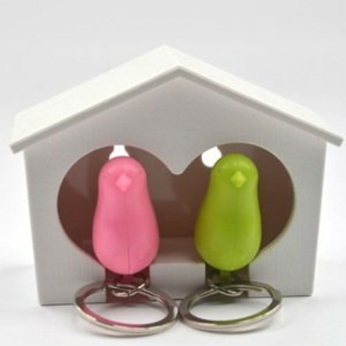 AKOAK Couple Pair Sparrow Bird House Nest Whistle Key Holder(One Bird Green and One Bird Pink)