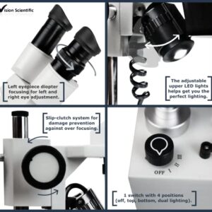 Vision Scientific VMS0002-LD-234-ES2 Binocular Stereo Microscope, WF10x and WF20x Eyepieces, 2X, 3X and 4X Objectives, 20x, 30x, 50x, 60x and 80x Magnification, Top and Bottom LED Illumination, 110V