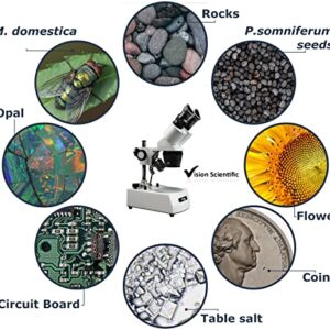 Vision Scientific VMS0002-LD-234-ES2 Binocular Stereo Microscope, WF10x and WF20x Eyepieces, 2X, 3X and 4X Objectives, 20x, 30x, 50x, 60x and 80x Magnification, Top and Bottom LED Illumination, 110V