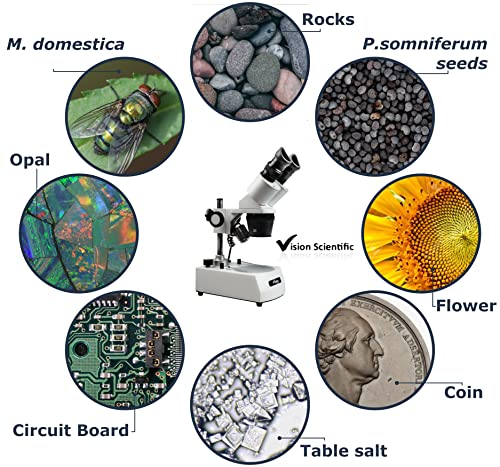 Vision Scientific VMS0002-LD-234-ES2 Binocular Stereo Microscope, WF10x and WF20x Eyepieces, 2X, 3X and 4X Objectives, 20x, 30x, 50x, 60x and 80x Magnification, Top and Bottom LED Illumination, 110V