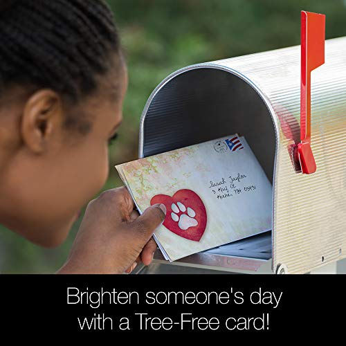 Tree-Free Greetings Forever Friends Pet Sympathy Card Assortment, 5 x 7 Inches, 8 Cards and Envelopes per Set (GA31528)