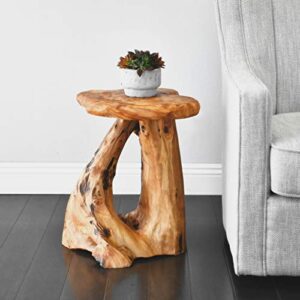 WELLAND Tree Stump Side Table, Live Edge Stool, Natural Edge Wood Side Table, Accent Table, 19" Tall