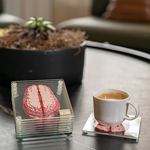 Anatomic Brain Specimen Coasters (Set of 10) - Neuroscience Gifts Best Gifts for Medical Student Gifts Brain Decor Human Anatomy Gifts Weird Gifts Thinkgeek Coasters think geek gifts 3D Brain Coasters