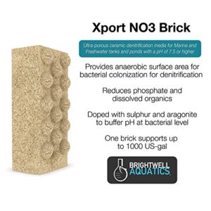 Brightwell Aquatics Xport NO3 Brick - Ultra-activated Denitrification Brick Media doped with Elemental Sulfur for Superior Performance in Filtration Media