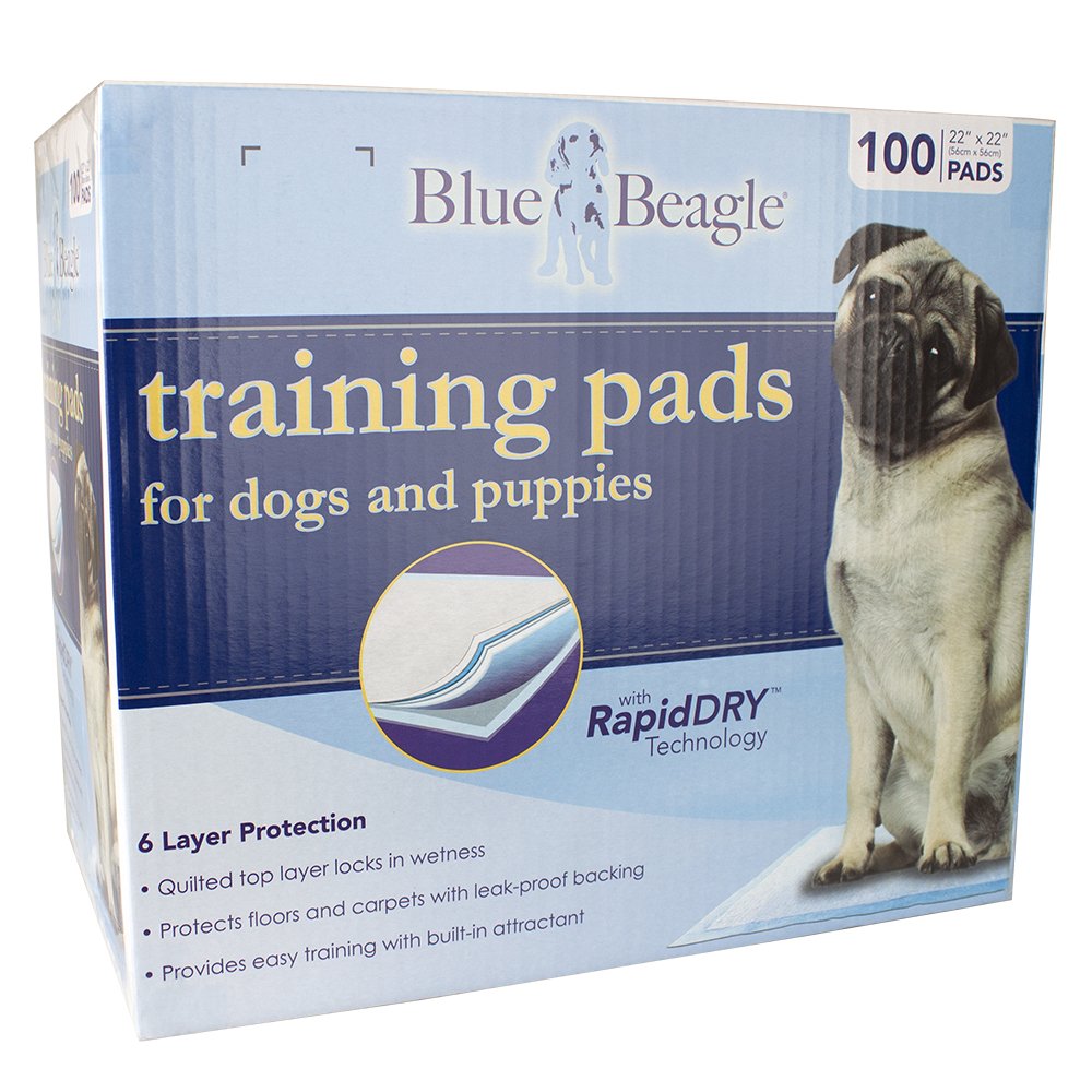 BV Pet Potty Training Pads for Dogs Puppy Pads, Pee Pads, Quick Absorb, 22" x 22" Training Pad, 100 Count Dog Pee Pads, Doggie Pads, Disposable Puppy Pee Pads