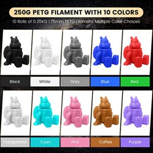 PETG 2500g 3D Printer Filament Bundle Multicolor, SUNLU Strong PETG Filament 1.75mm, Neatly Wound Filament 2.5kg, 250g Spool, 10 Pack, Black+White+Grey+Blue+Red+Purple+Pink+Cyan+Coffee+Transparent