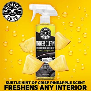 Chemical Guys CLD_202_16 Signature Series Glass Cleaner (16 oz) and Chemical Guys SPI_663_16 InnerClean Interior Quick Detailer and Protectant (16 oz) Bundle