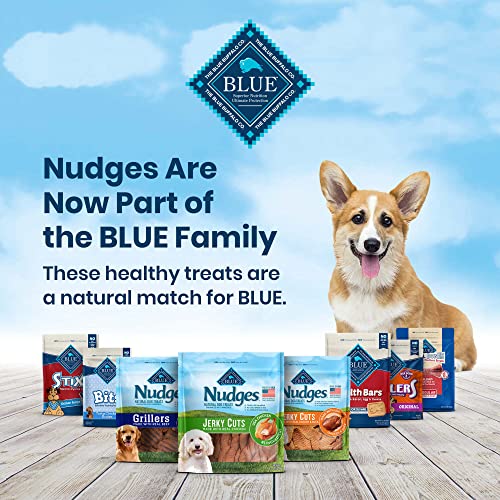 Blue Buffalo Nudges Homestyle Natural Dog Treats, Chicken, 10oz Bag
