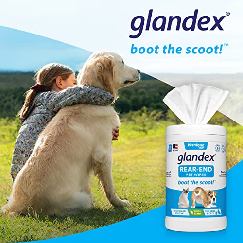 Vetnique Labs Glandex Dog Wipes for Pets Cleansing & Deodorizing Anal Gland Hygienic Wipe​s for Dogs & Cats with Vitamin E, Skin Conditioners and Aloe (75ct)