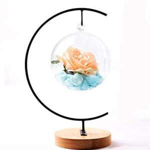 YY YEARCHY Awesomes Ornament Display Stand Metal Air Plant Flower Pot Holder for Hanging Glass Globe Ball