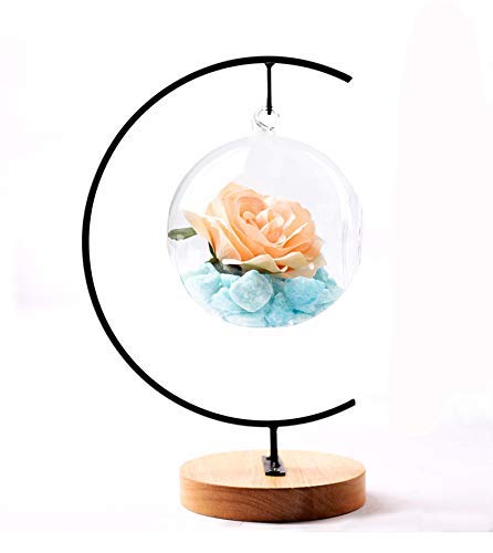 YY YEARCHY Awesomes Ornament Display Stand Metal Air Plant Flower Pot Holder for Hanging Glass Globe Ball