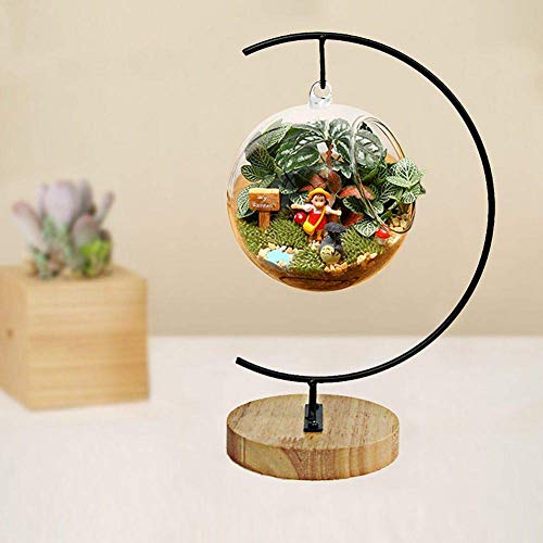 YY YEARCHY Awesomes Ornament Display Stand Metal Air Plant Flower Pot Holder for Hanging Glass Globe Ball