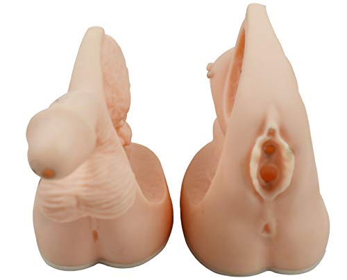 INTBUYING Education Model Male and Female Anatomy Teach Set Model Internal and External Genital Anatomy Model and Urinary Mold