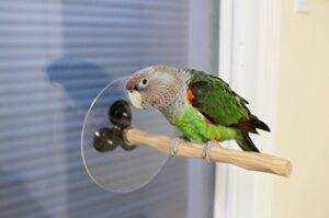 window nu perch for small to medium parrots