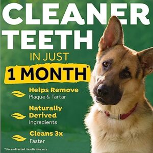 Fresh Breath by TropiClean Brushing Dental & Oral Care Gel for Dogs & Cats, 2oz, Made in USA - Removes Plaque & Tartar