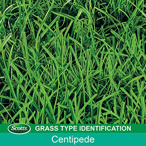 Scotts EZ Seed Patch and Repair Centipede Grass, 3.75 lb