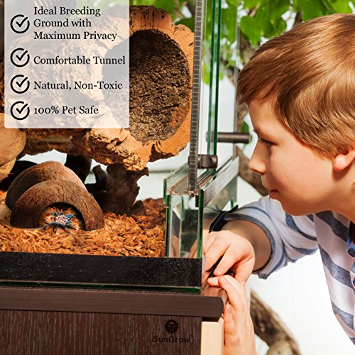 SunGrow Hermit Crab Huts, 5x3 Inches, Arthropod's Coconut Hide, Spacious Coco Tunnel, Use as Hermit Cave or Climber, 1-Pc