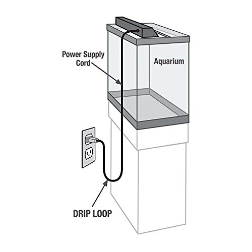 Aqueon Standard Glass 10 Gallon Rectangular Tank for Aquariums & Terrariums