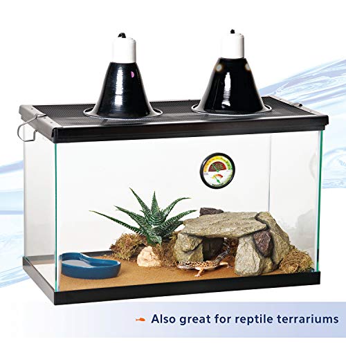 Aqueon Standard Glass 10 Gallon Rectangular Tank for Aquariums & Terrariums