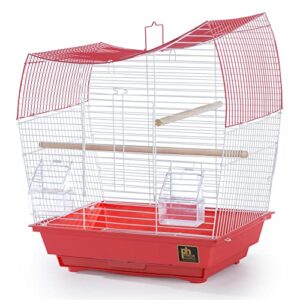 prevue pet products south beach wave top bird cage, coral (model: sp50110)