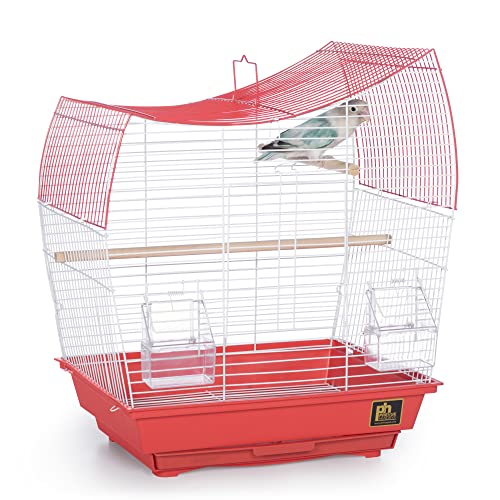 Prevue Pet Products South Beach Wave Top Bird Cage, Coral (Model: SP50110)