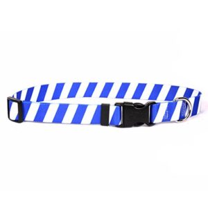 yellow dog design team spirit royal blue and white dog collar-size teacup-3/8 wide and fits neck 4 to 9"