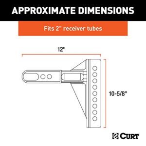 CURT 45917 Replacement Shank for Adjustable Trailer Hitch Ball Mount #45902 or #45908, Fits 2-1/2-Inch Receiver, CARBIDE BLACK POWDER COAT