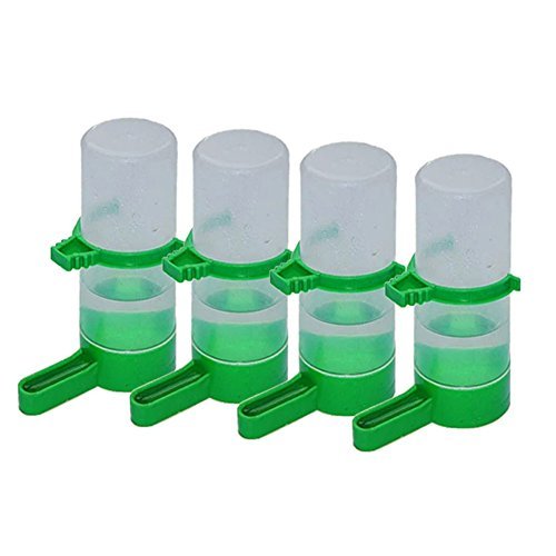 Patgoal 4 Pcs Pet Bird Plastic Drinker Feeder Waterer Clip for Parrots Budgie Cockatiel Lovebirds (L)