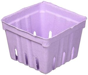 bci crafts berry basket 10pc purple