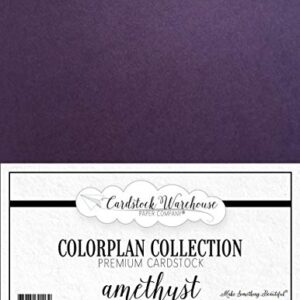 Colorplan Amethyst Purple Cardstock Paper - 8.5 X 11 Inch Premium Matte 100 Lb. Heavyweight - 25 Sheets from Cardstock Warehouse