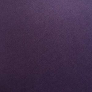 Colorplan Amethyst Purple Cardstock Paper - 8.5 X 11 Inch Premium Matte 100 Lb. Heavyweight - 25 Sheets from Cardstock Warehouse