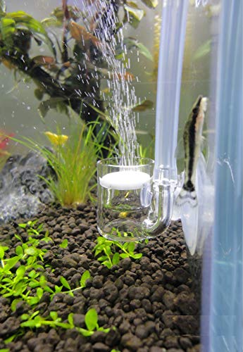 JARDLI Pollen Glass CO2 Diffuser for Aquarium Planted Tank (3/4" for Below 20 US gallons)