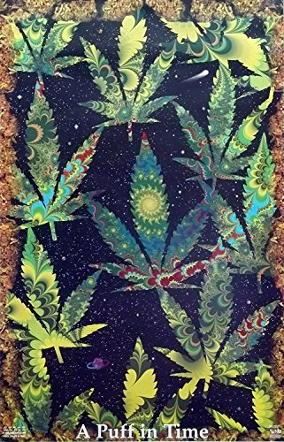HommomH 60" x 80" Blanket Throw Comfort Warmth Soft Plush Throw for Couch A Puff in Time Weed Ganja Marijuana