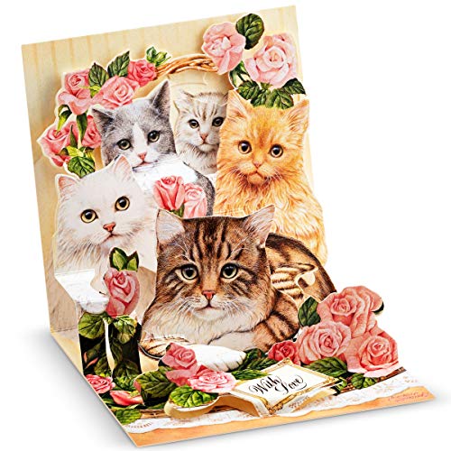 Happy Birthday Cards - Holiday Greeting Card, Graduation, Wedding, Anniversary Cards - for Wife Husband Kids Friends w/ Mailing Envelope - Cats